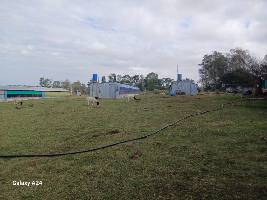 5 Bedroom Property for Sale in Macleantown Eastern Cape